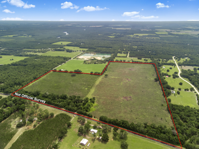 143 Acres for Sale in Bell, FL - image 5