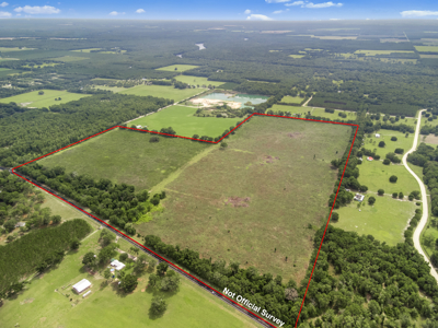143 Acres for Sale in Bell, FL - image 6