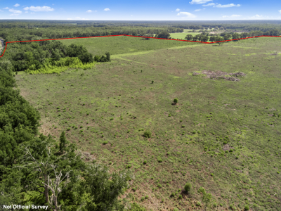 143 Acres for Sale in Bell, FL - image 15
