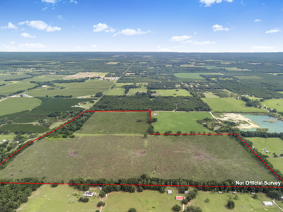 143 Acres for Sale in Bell, FL - image 8