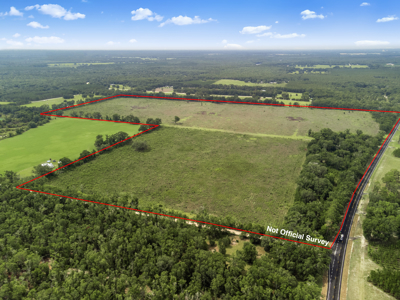 143 Acres for Sale in Bell, FL - image 2