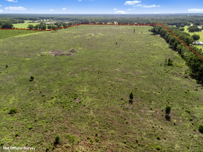 143 Acres for Sale in Bell, FL - image 17