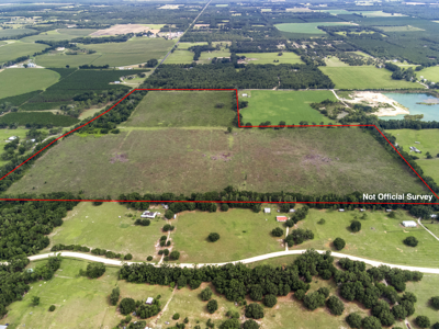 143 Acres for Sale in Bell, FL - image 7