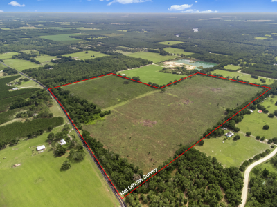 143 Acres for Sale in Bell, FL - image 1