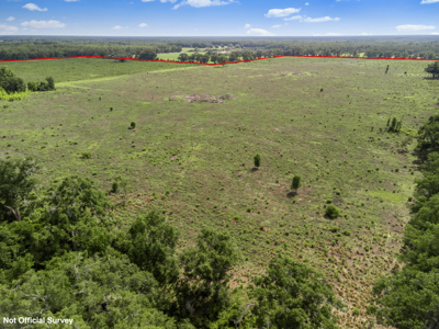 143 Acres for Sale in Bell, FL - image 13