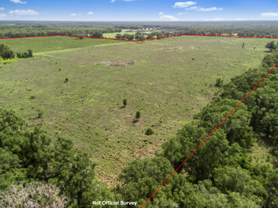 143 Acres for Sale in Bell, FL - image 14