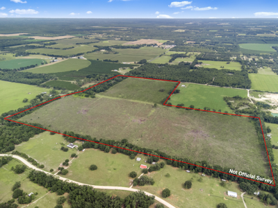 143 Acres for Sale in Bell, FL - image 9
