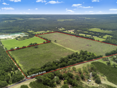 143 Acres for Sale in Bell, FL - image 3