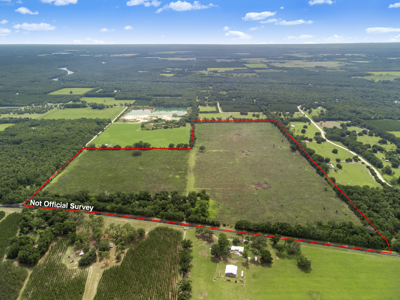 143 Acres for Sale in Bell, FL - image 4