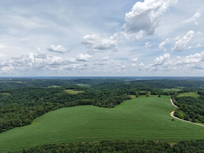 60.07 Acres Ridgetop Land (Mostly Tillable W/ 14 Acres of Woods) - image 1