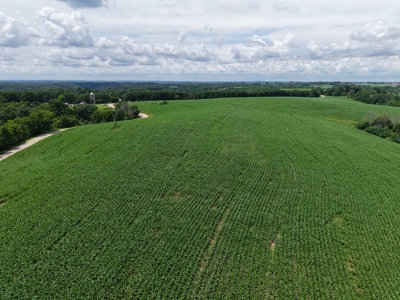 60.07 Acres Ridgetop Land (Mostly Tillable W/ 14 Acres of Woods) - image 3