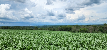 60.07 Acres Ridgetop Land (Mostly Tillable W/ 14 Acres of Woods) - image 2