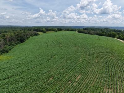 60.07 Acres Ridgetop Land (Mostly Tillable W/ 14 Acres of Woods) - image 14