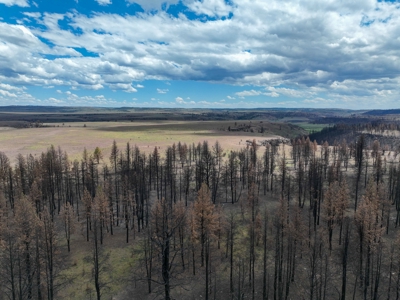 Eastern Oregon Recreational Yellowjacket Creek Property - image 23