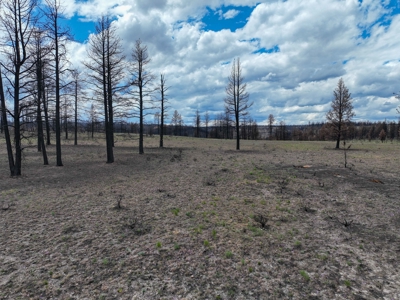 Eastern Oregon Recreational Yellowjacket Creek Property - image 25