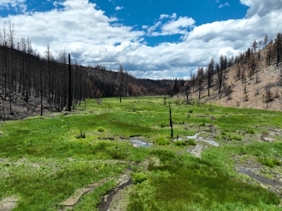 Eastern Oregon Recreational Yellowjacket Creek Property - image 7