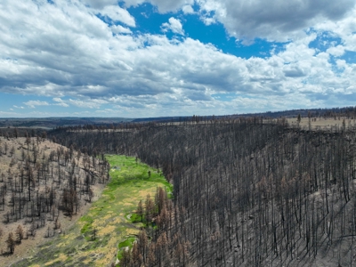 Eastern Oregon Recreational Yellowjacket Creek Property - image 29