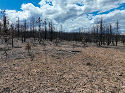 Eastern Oregon Recreational Yellowjacket Creek Property - image 39
