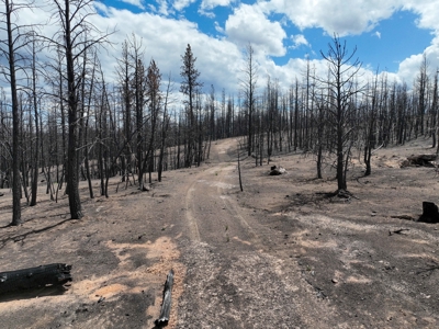 Eastern Oregon Recreational Yellowjacket Creek Property - image 43