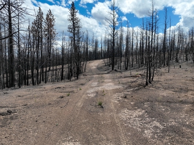 Eastern Oregon Recreational Yellowjacket Creek Property - image 44