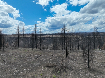 Eastern Oregon Recreational Yellowjacket Creek Property - image 26