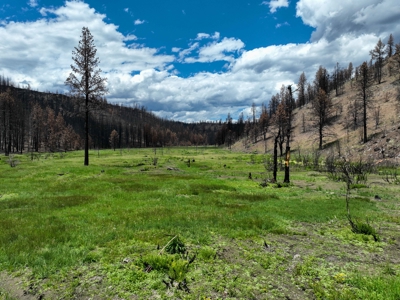 Eastern Oregon Recreational Yellowjacket Creek Property - image 1