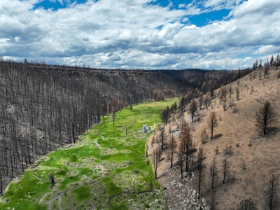 Eastern Oregon Recreational Yellowjacket Creek Property - image 5