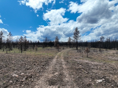 Eastern Oregon Recreational Yellowjacket Creek Property - image 31
