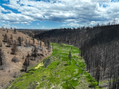 Eastern Oregon Recreational Yellowjacket Creek Property - image 12