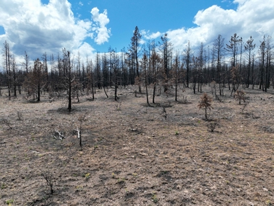 Eastern Oregon Recreational Yellowjacket Creek Property - image 38
