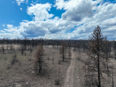 Eastern Oregon Recreational Yellowjacket Creek Property - image 33
