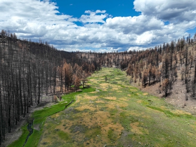 Eastern Oregon Recreational Yellowjacket Creek Property - image 13