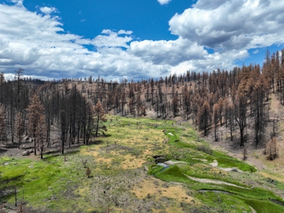 Eastern Oregon Recreational Yellowjacket Creek Property - image 16