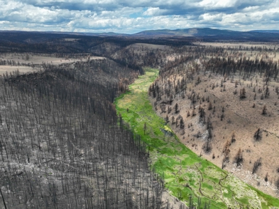 Eastern Oregon Recreational Yellowjacket Creek Property - image 4