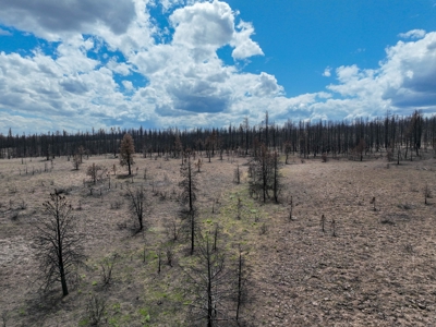Eastern Oregon Recreational Yellowjacket Creek Property - image 36
