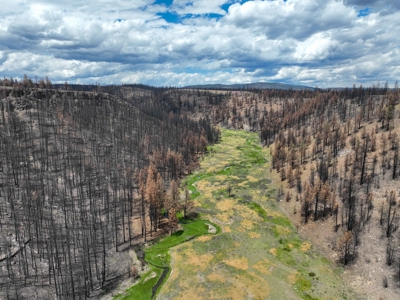 Eastern Oregon Recreational Yellowjacket Creek Property - image 11