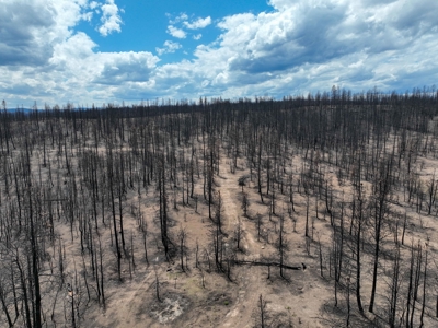 Eastern Oregon Recreational Yellowjacket Creek Property - image 41