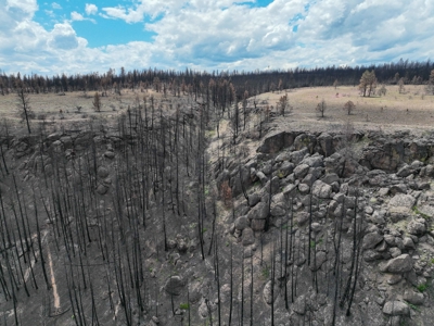 Eastern Oregon Recreational Yellowjacket Creek Property - image 3