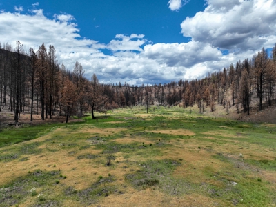 Eastern Oregon Recreational Yellowjacket Creek Property - image 14