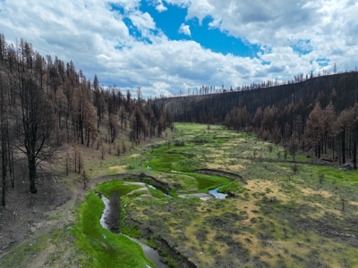 Eastern Oregon Recreational Yellowjacket Creek Property - image 18