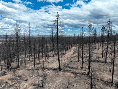 Eastern Oregon Recreational Yellowjacket Creek Property - image 45