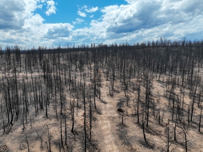 Eastern Oregon Recreational Yellowjacket Creek Property - image 42