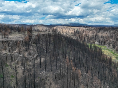 Eastern Oregon Recreational Yellowjacket Creek Property - image 2