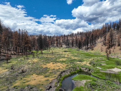 Eastern Oregon Recreational Yellowjacket Creek Property - image 15