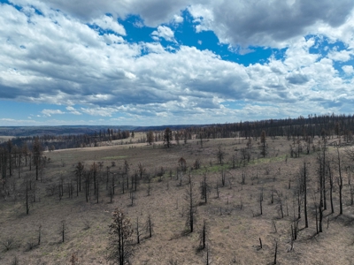 Eastern Oregon Recreational Yellowjacket Creek Property - image 35