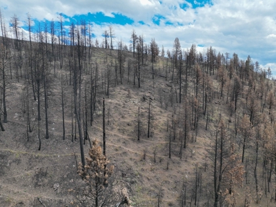Eastern Oregon Recreational Yellowjacket Creek Property - image 19