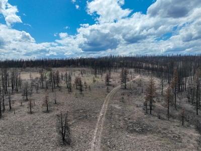 Eastern Oregon Recreational Yellowjacket Creek Property - image 30