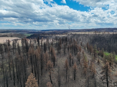 Eastern Oregon Recreational Yellowjacket Creek Property - image 22