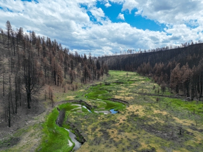 Eastern Oregon Recreational Yellowjacket Creek Property - image 17