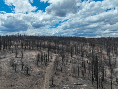 Eastern Oregon Recreational Yellowjacket Creek Property - image 34